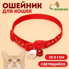 Ошейник кошачий пижон