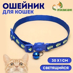 Ошейник кошачий Пижон
