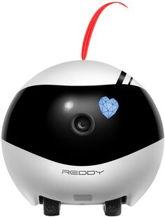 Бренд Робот Red Solution REDDY Air, белый