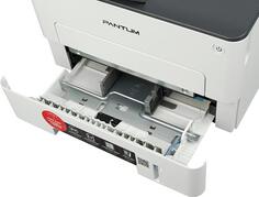 Лазерный принтер Pantum P3010D
