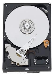 Жесткий диск 3.5 1 Tb 7200 rpmrpm 64 MbMb cache Western Digital WD10EZEX SATA III 6 Gb/s