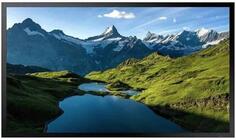 Панель Samsung 55 OH55A-S черный DLED LED 8ms 16:9 HDMI матовая 3500cd 178гр/178гр 1920x1080 VGA FHD USB 46.1кг
