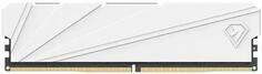 Оперативная память для компьютера 8Gb (1x8Gb) PC4-21300 2666MHz DDR4 DIMM CL19 Netac Shadow S White NTSSD4P26SP-08W