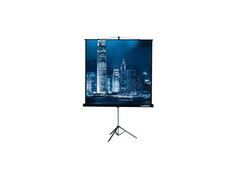 Экран на штативе Lumien Master View 244x244 см матовый белый LMV-100105 Gembird