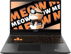 Ноутбук ColorFul MEOW R16 (A10305000029)