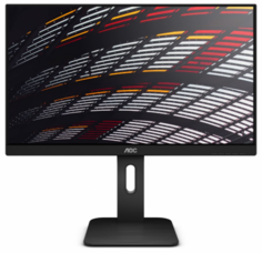 Монитор 24 AOC Professional X24P1(00/01) (X24P1)