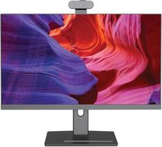 Моноблок 23.8 Digma Pro Vision 24 1920 x 1080 AMD Ryzen-5 5500U 8Gb SSD 256 Gb AMD Radeon Graphics Windows 11 Professional черный DM23R5-8CXW02 DM23R