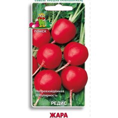 Семена Редис, Жара, 3 г, цветная упаковка, Поиск