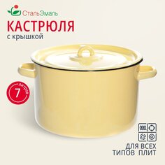 Кастрюля эмалированная сталь, 7 л, с крышкой, крышка сталь, СтальЭмаль, 2с18, индукция