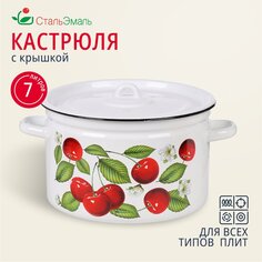 Кастрюля эмалированная сталь, 7 л, с крышкой, крышка сталь, цилиндр, СтальЭмаль, Вишня ягоды, 1с18с, индукция