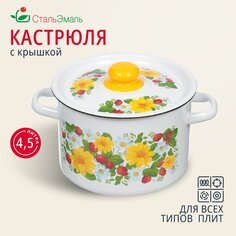 Кастрюля эмалированная сталь, 4.5 л, с крышкой, крышка сталь, СтальЭмаль, 1с17с, индукция