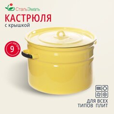 Кастрюля эмалированная сталь, 9 л, с крышкой, крышка сталь, СтальЭмаль, 2с200, индукция
