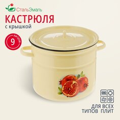Кастрюля эмалированная сталь, 9 л, с крышкой, крышка сталь, СтальЭмаль, 1с200с, индукция