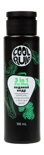 Шампунь, кондиционер и гель для душа 3-в-1 Cool Rule 3 in 1 Ледяной кедр