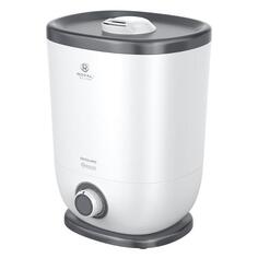 Воздухоувлажнитель Royal Clima Ercolano RUH-ER300/5.0M-WT серый Ercolano RUH-ER300/5.0M-WT серый
