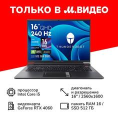 Ноутбук игровой Thunderobot Zero G3 Pro/16"/Core i5-13500HX/16/512/RTX 4060/Win/Grey Zero G3 Pro/16"/Core i5-13500HX/16/512/RTX 4060/Win/Grey