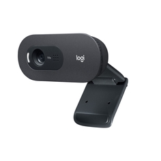 Web-камера Logitech C505e HD C505e HD