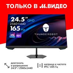 Монитор игровой Thunderobot 24.5"/IPS/2560x1440/165Гц/черный (LQ25F165) 24.5"/IPS/2560x1440/165Гц/черный (LQ25F165)