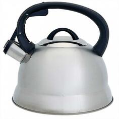 Чайник Webber BE-0554 BE-0554