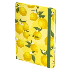 Блокнот Brauberg А5 113727 А5 113727