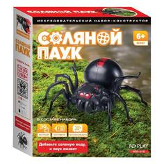 Электронный конструктор ND Play Соляной паук Соляной паук