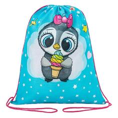 Мешок для обуви Пифагор 271602 271602