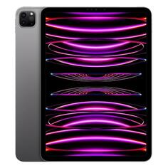 Планшет Apple iPad Pro 12.9 2022 128GB Wi-Fi+Cell Space Gray iPad Pro 12.9 2022 128GB Wi-Fi+Cell Space Gray