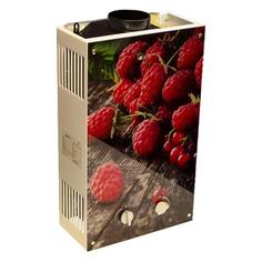 Водонагреватель газовый проточный WERTRUS 10EG 10EG