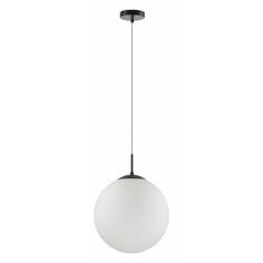 Светильник подвесной Lumion Summer 6510/1A Summer 6510/1A
