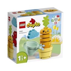 Конструктор DUPLO My First Выращивание моркови Lego
