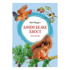 Книга Баруздина С. &quot;Зачем белке хвост. Рассказы&quot; Махаон