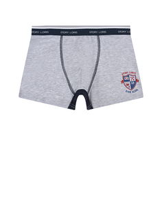 Серые трусы-боксеры с геральдическим принтом Story Loris