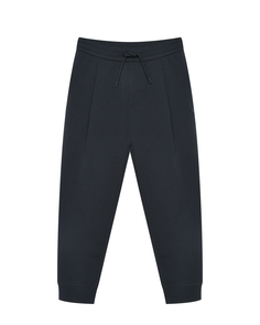 Спортивные брюки с лого в тон, темно-синие Emporio Armani