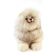 Игрушка собачка шпиц, 25 см Carolon