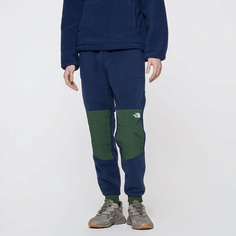 Мужские брюки Denali Pant The North Face