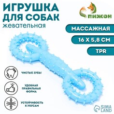 Игрушка для собак Пижон