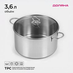 Кастрюля из нержавеющей стали доляна
