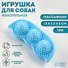Игрушка для собак Пижон