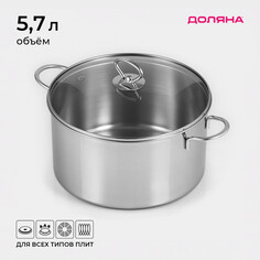 Кастрюля из нержавеющей стали доляна