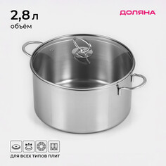 Кастрюля из нержавеющей стали доляна