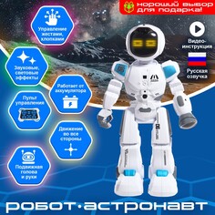 Робот радиоуправляемый NO Brand