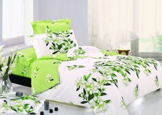 Постельное белье 2-х сп Viola’