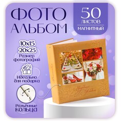 Фотоальбом на 50 магнитных листов 23х28 см, кольца NO Brand