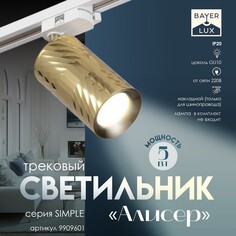 Светильник трековый simple Bayer Lux