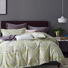 Постельное белье 2-х сп Viola’