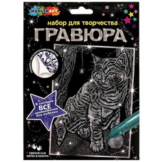 Гравюра МУЛЬТИ АРТ SCRATCHART-SLV-CAT6