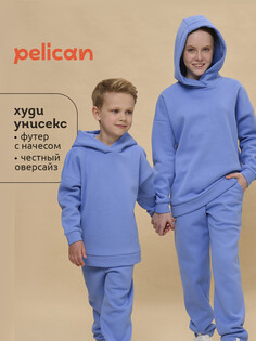 Толстовка Pelican
