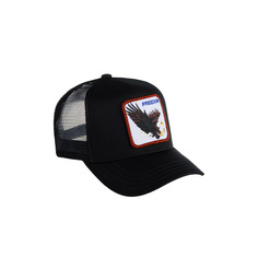 The Freedom Eagle Goorin Brothers