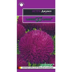 Семена Цветы, Астра, Джувел Аметист, 0.05 г, Эксклюзив, цветная упаковка, Гавриш