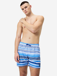 Шорты плавательные мужские Speedo, Синий